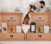regalo-día-del-padre-perruno-cajas-pawness